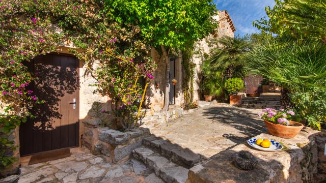 Apartamento rural Los Palmitos
