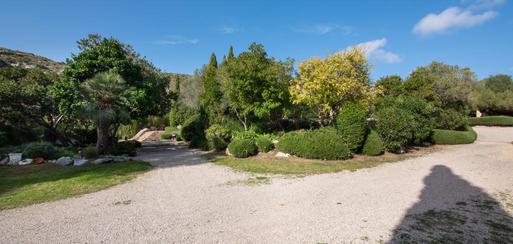 Apartamento rural Los Palmitos