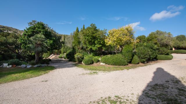 Apartamento rural Los Palmitos
