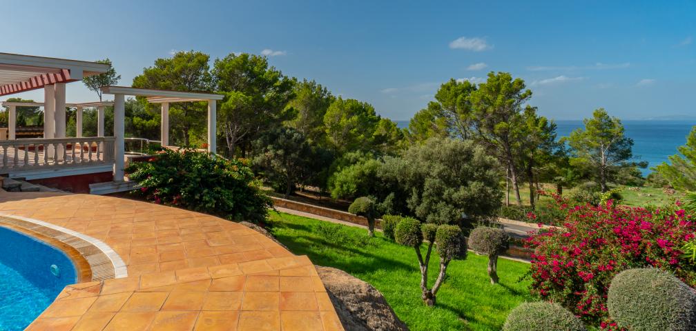 Finca Altavista