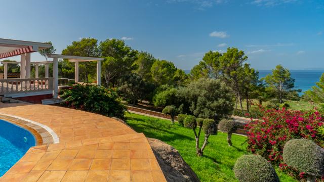 Finca Altavista