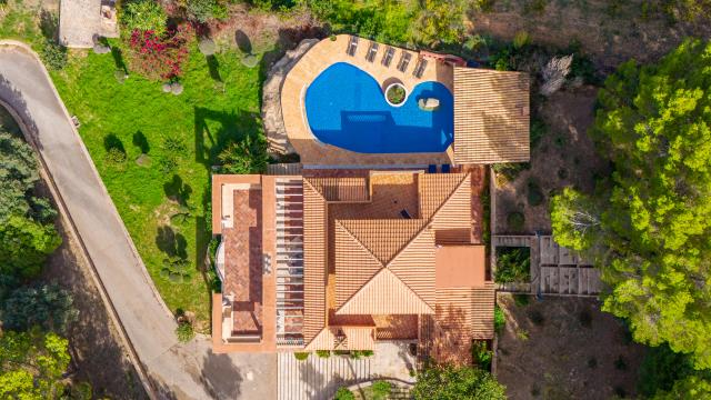Finca Altavista