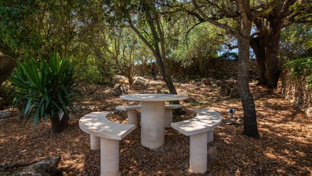 Finca Es Romagueral