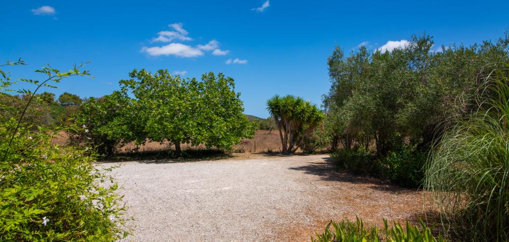 Finca Es Romagueral