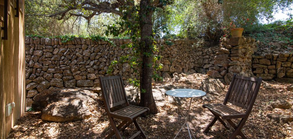 Finca Es Romagueral