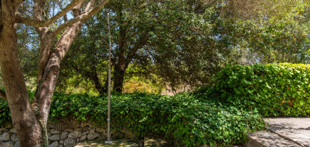 Finca Es Romagueral