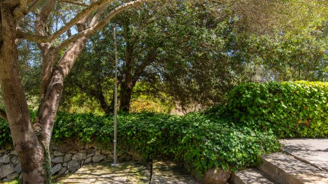 Finca Es Romagueral