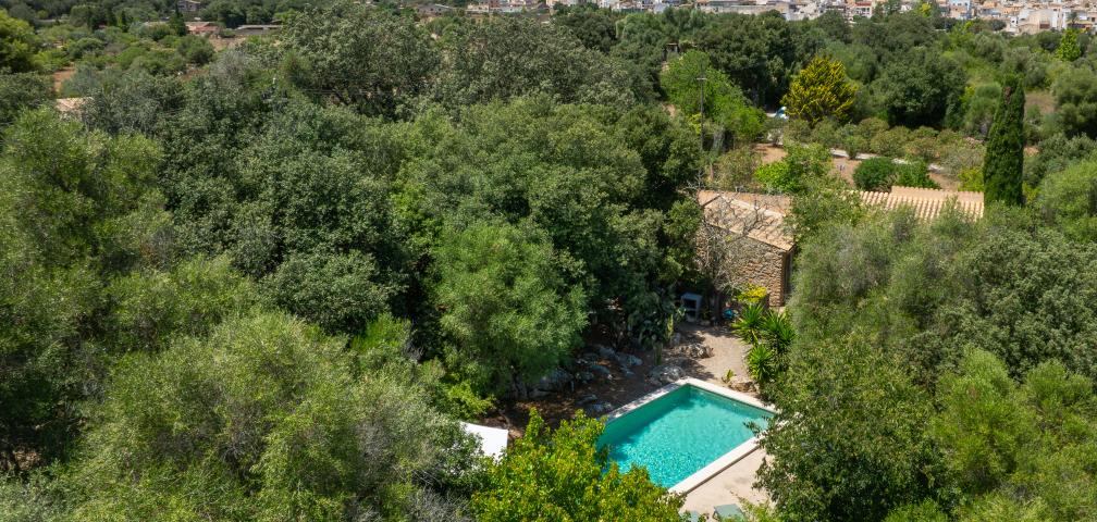 Finca Es Romagueral