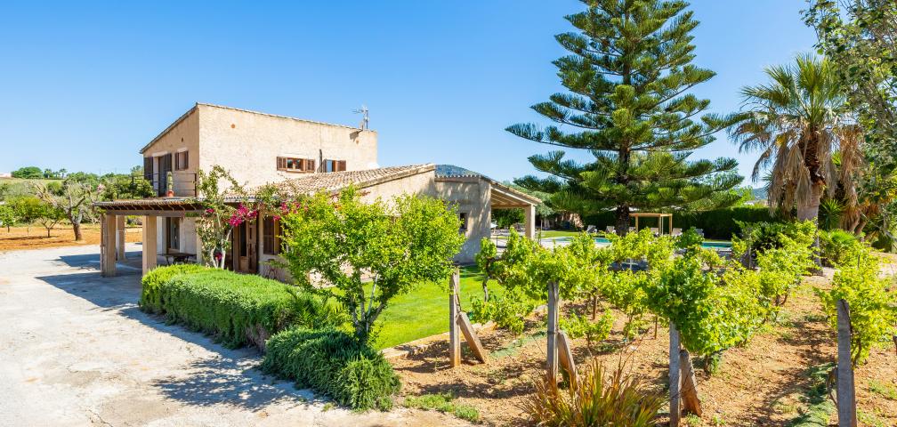 Finca Sa Grua