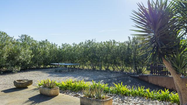 Finca Na Banya
