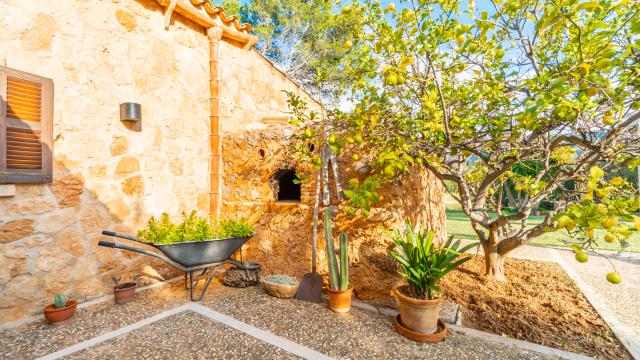 Finca Can Peix