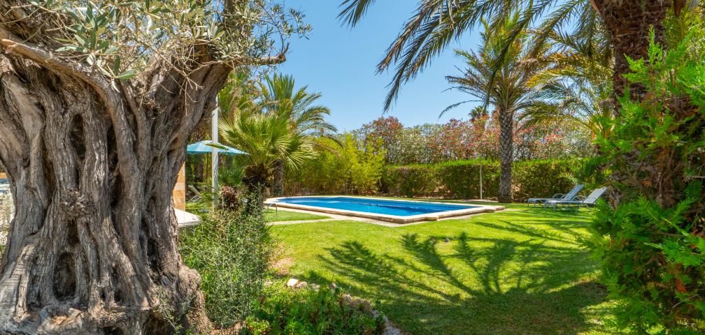 Finca Sa Rustica