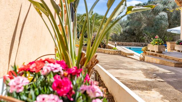 Finca Son Sec