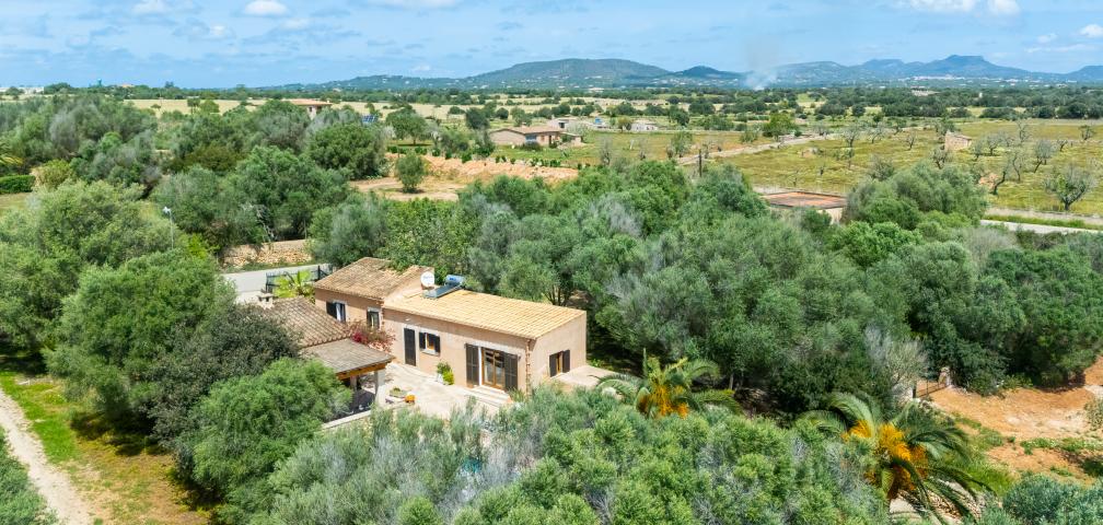 Finca Son Sec