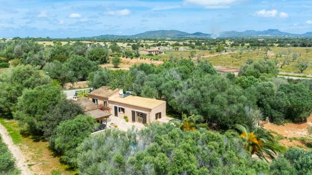 Finca Son Sec