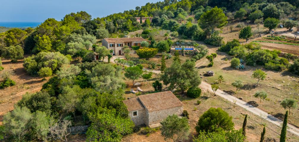 Finca Casa Oliveres