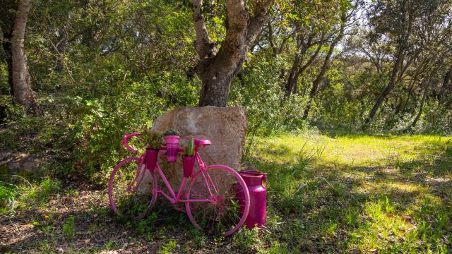 Finca Na Creu Vella