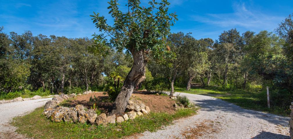 Finca Na Creu Vella