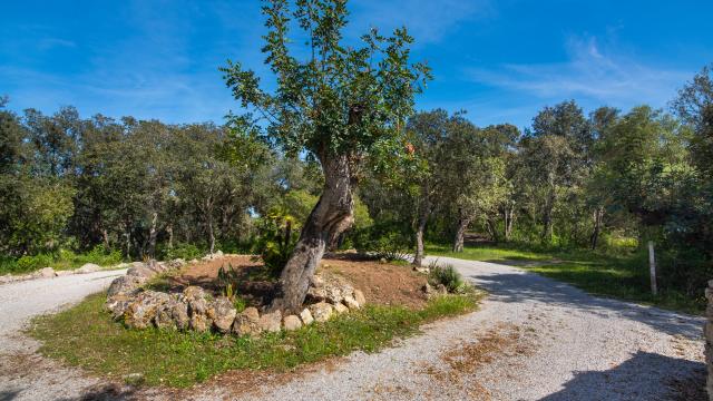 Finca Na Creu Vella