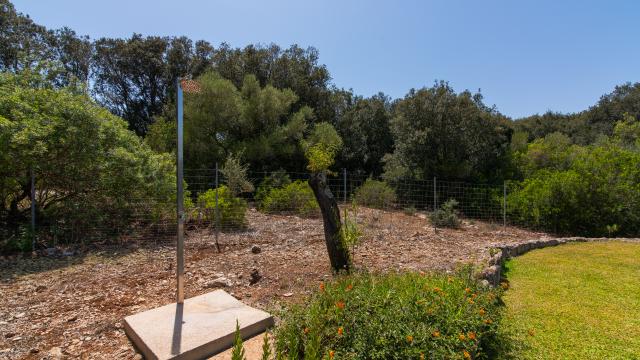 Finca Es Puchet