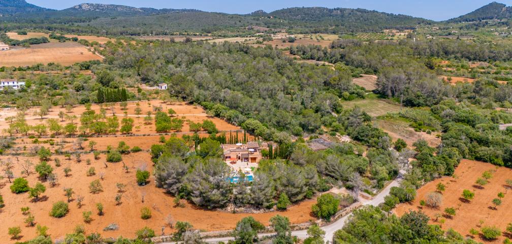 Finca Son Gall