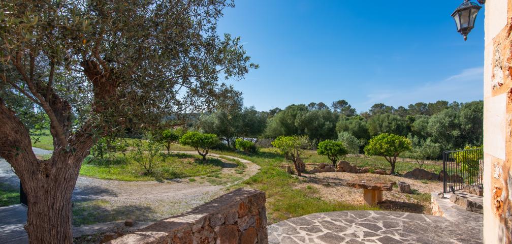 Finca Son Barrigo