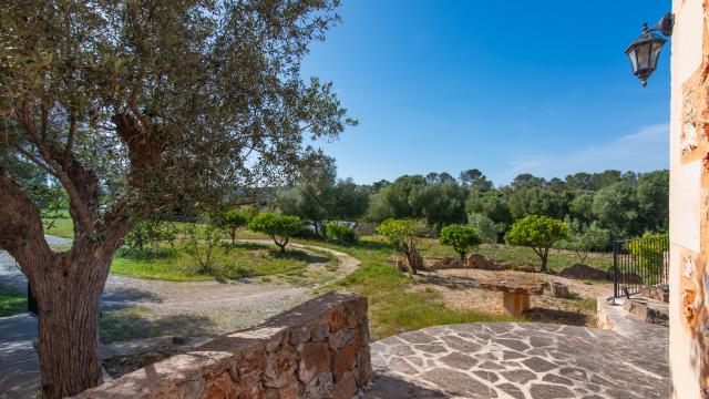 Finca Son Barrigo