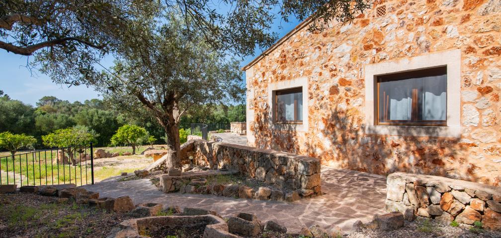 Finca Son Barrigo