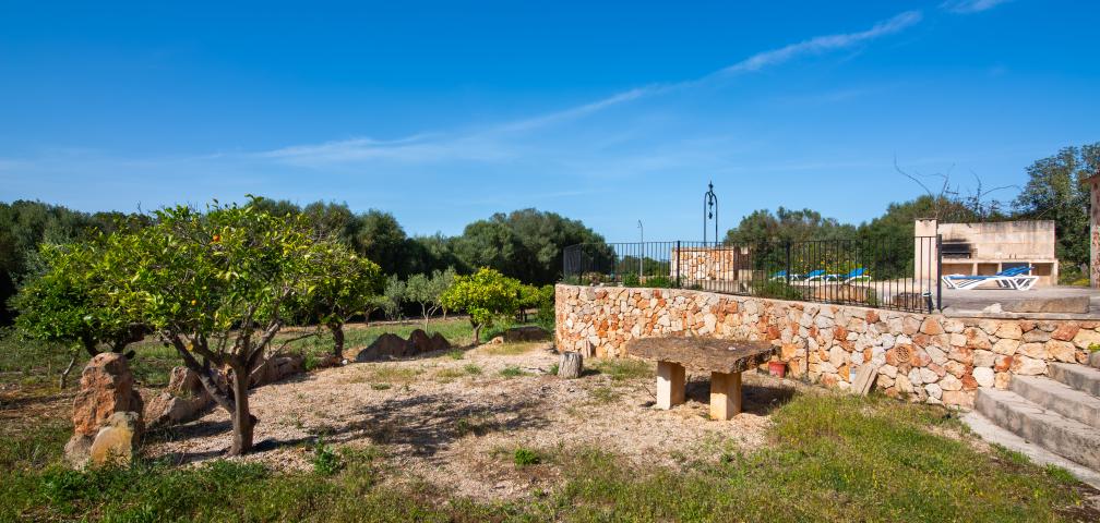 Finca Son Barrigo