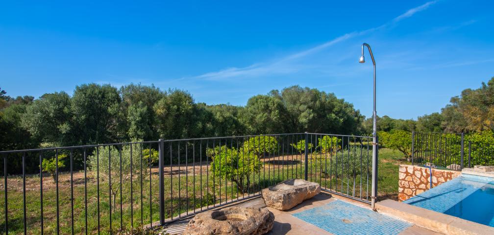 Finca Son Barrigo