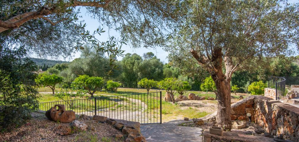 Finca Son Barrigo