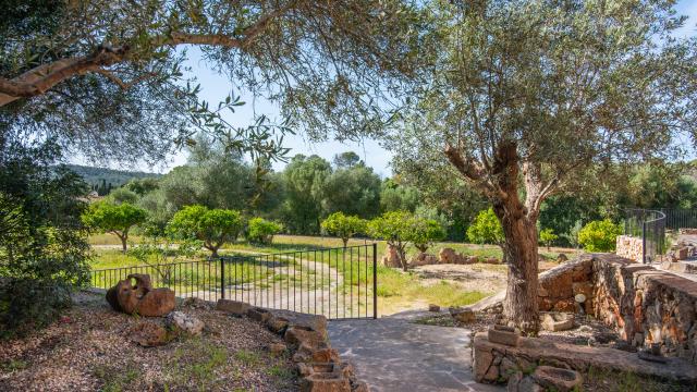 Finca Son Barrigo