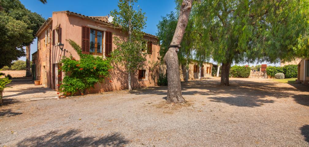 Finca Son Rito