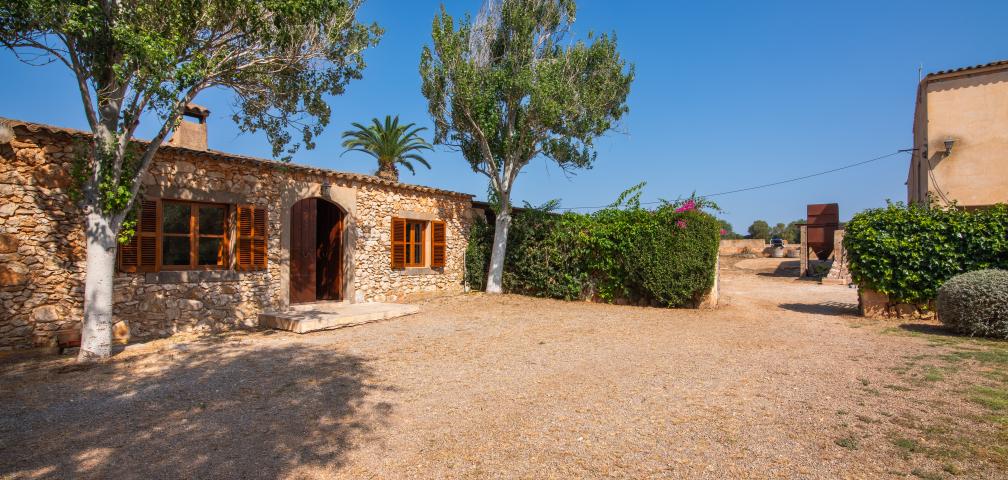 Finca Son Rito