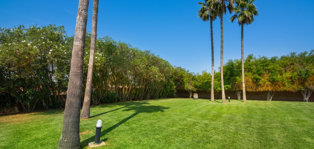 Finca Son Rito