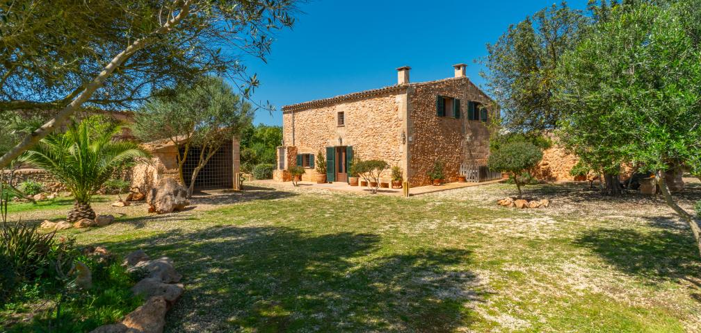 Finca Son Dalabau
