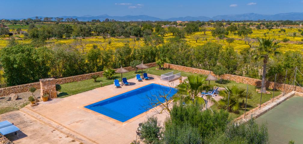 Finca Son Dalabau