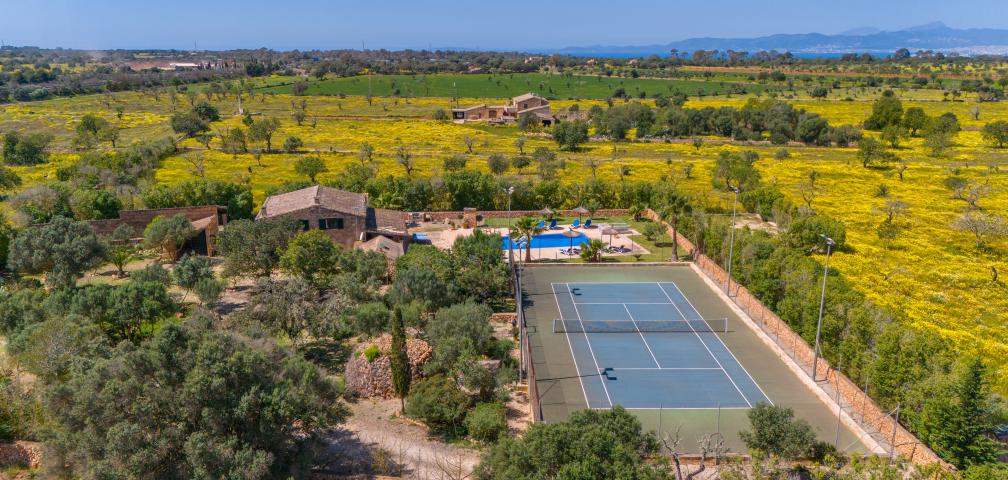 Finca Son Dalabau