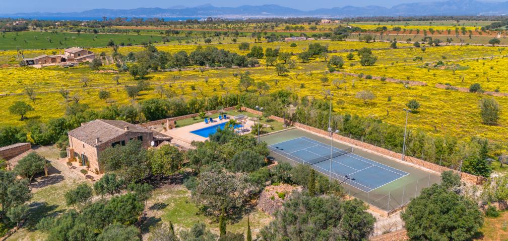 Finca Son Dalabau