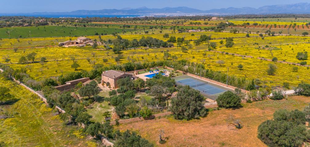 Finca Son Dalabau