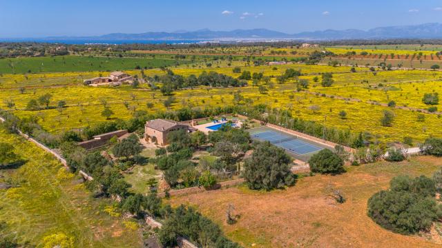 Finca Son Dalabau