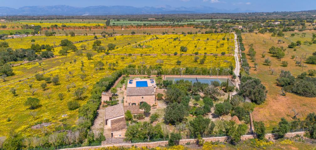 Finca Son Dalabau