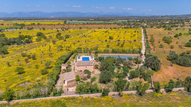 Finca Son Dalabau