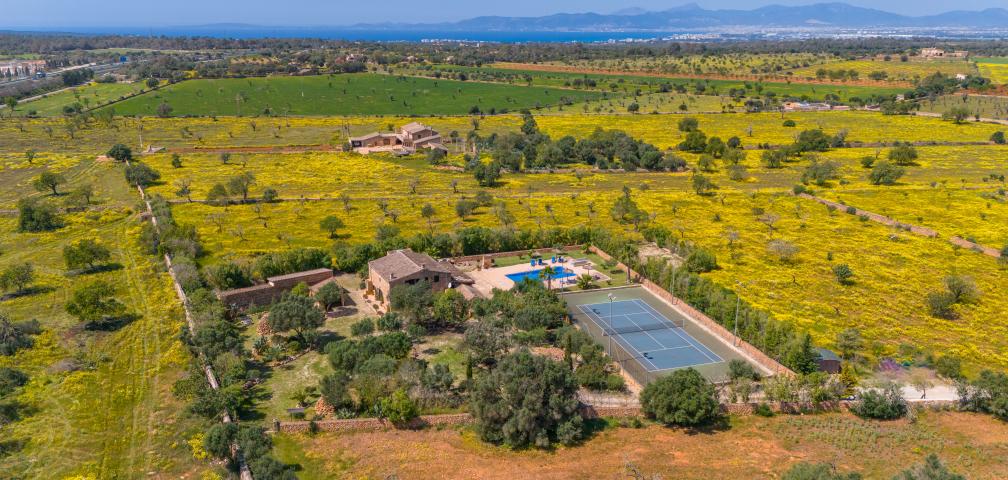 Finca Son Dalabau