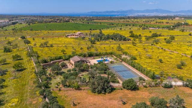 Finca Son Dalabau
