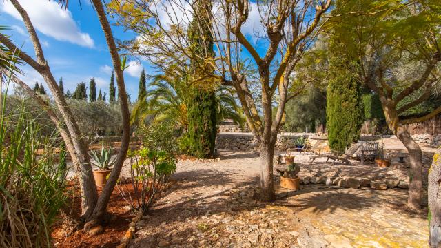 Finca Can Pina