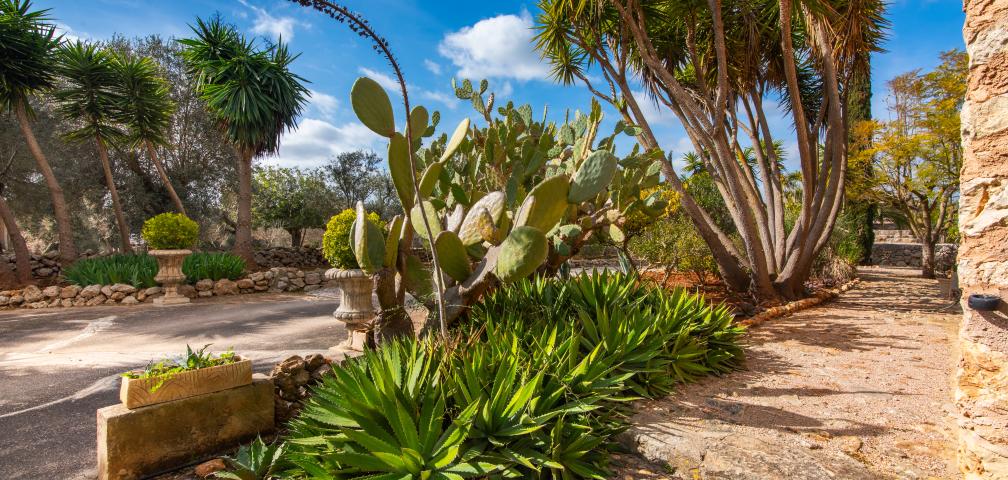Finca Can Pina