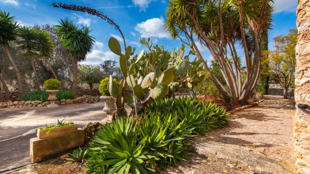 Finca Can Pina