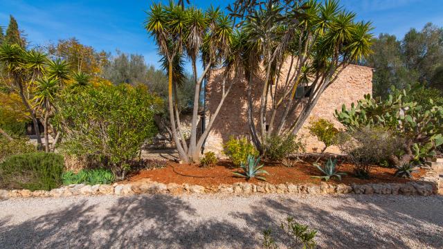 Finca Can Pina