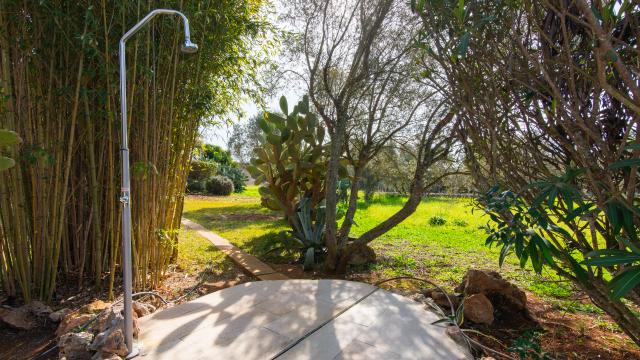 Finca Casa Groc